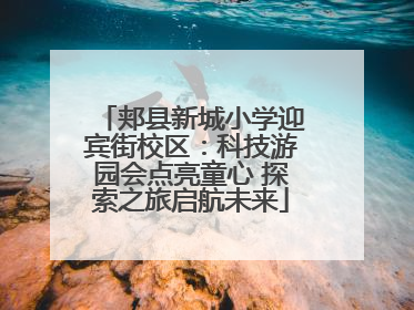 郏县新城小学迎宾街校区：科技游园会点亮童心 探索之旅启航未来