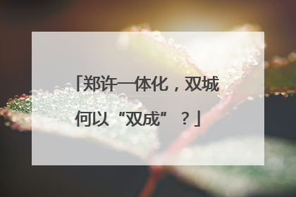 郑许一体化，双城何以“双成”？
