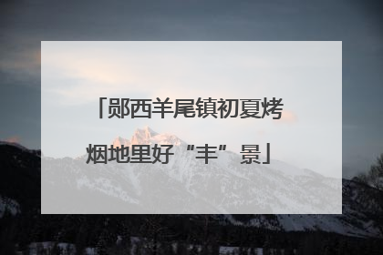郧西羊尾镇初夏烤烟地里好“丰”景