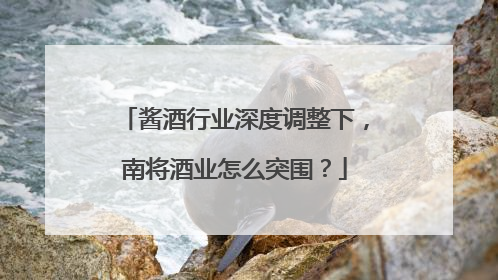 酱酒行业深度调整下，南将酒业怎么突围？