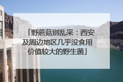 野蘑菇别乱采：西安及周边地区几乎没食用价值较大的野生菌
