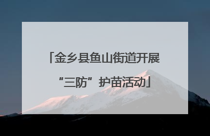 金乡县鱼山街道开展“三防”护苗活动