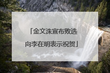 金文洙宣布败选 向李在明表示祝贺