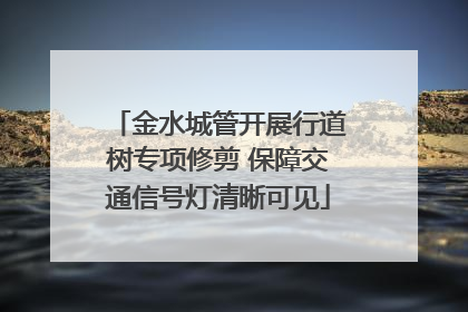 金水城管开展行道树专项修剪 保障交通信号灯清晰可见