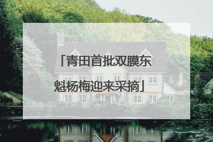 青田首批双膜东魁杨梅迎来采摘