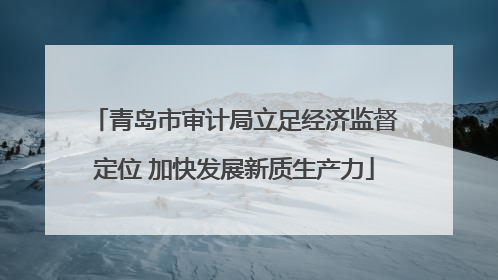 青岛市审计局立足经济监督定位 加快发展新质生产力