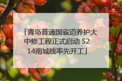 青岛普通国省道养护大中修工程正式启动 S214南城线率先开工