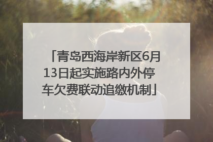 青岛西海岸新区6月13日起实施路内外停车欠费联动追缴机制
