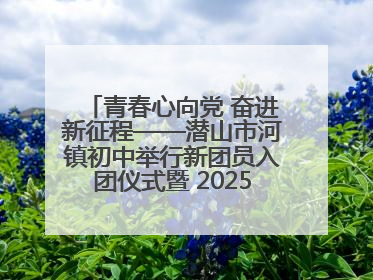 青春心向党 奋进新征程——潜山市河镇初中举行新团员入团仪式暨 2025年度团员大会
