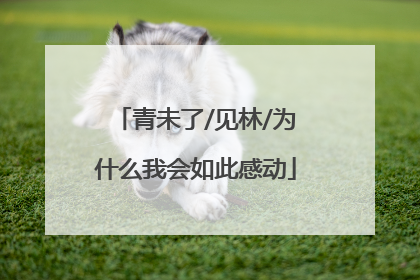青未了/见林/为什么我会如此感动