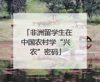 非洲留学生在中国农村学“兴农”密码