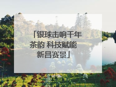银球击响千年茶韵 科技赋能新昌赛景