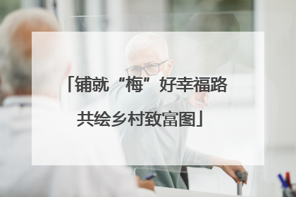 铺就“梅”好幸福路 共绘乡村致富图