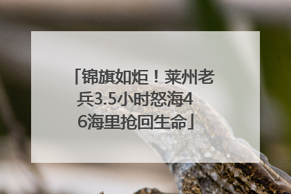 锦旗如炬！莱州老兵3.5小时怒海46海里抢回生命