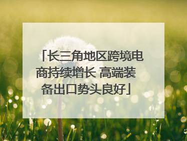 长三角地区跨境电商持续增长 高端装备出口势头良好