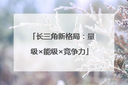 长三角新格局：量级×能级×竞争力
