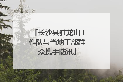 长沙县驻龙山工作队与当地干部群众携手防汛