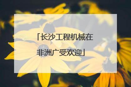 长沙工程机械在非洲广受欢迎