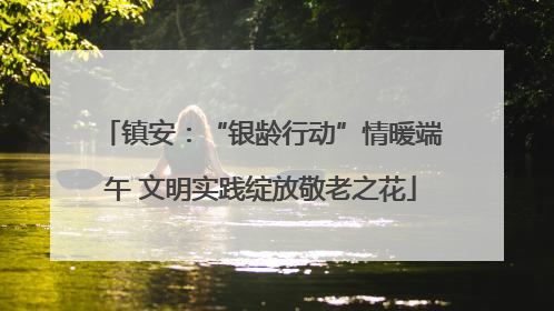 镇安：“银龄行动”情暖端午 文明实践绽放敬老之花