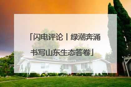 闪电评论丨绿潮奔涌 书写山东生态答卷