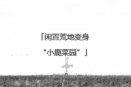 闲置荒地变身“小鹿菜园”