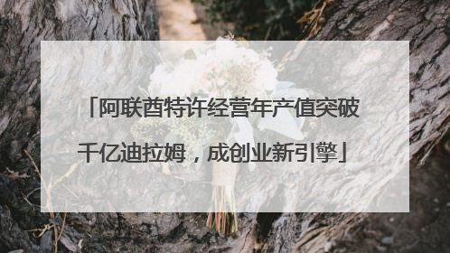 阿联酋特许经营年产值突破千亿迪拉姆，成创业新引擎