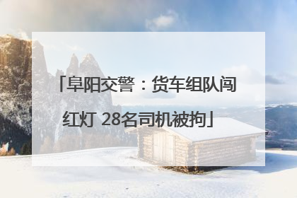 阜阳交警：货车组队闯红灯 28名司机被拘