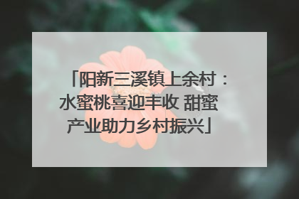 阳新三溪镇上余村：水蜜桃喜迎丰收 甜蜜产业助力乡村振兴