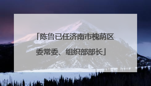 陈鲁已任济南市槐荫区委常委、组织部部长