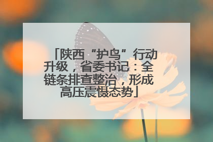 陕西“护鸟”行动升级，省委书记：全链条排查整治，形成高压震慑态势