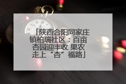 陕西合阳同家庄镇柏瑞社区：百亩杏园迎丰收 果农走上“杏”福路