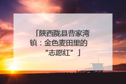陕西陇县曹家湾镇：金色麦田里的“志愿红”