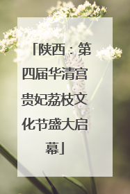 陕西：第四届华清宫贵妃荔枝文化节盛大启幕