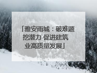 雅安雨城：破难题 挖潜力 促进建筑业高质量发展