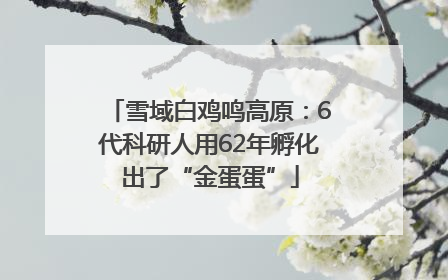 雪域白鸡鸣高原：6代科研人用62年孵化出了“金蛋蛋”