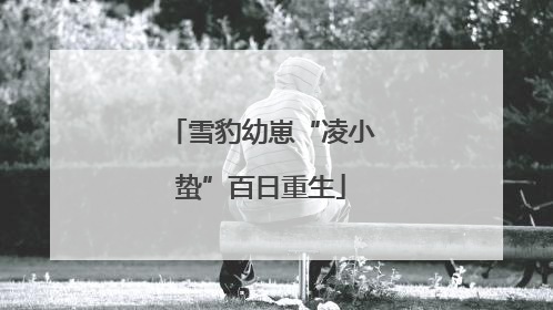 雪豹幼崽“凌小蛰”百日重生