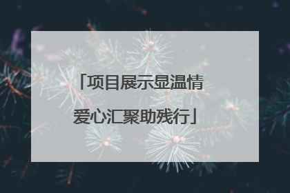 项目展示显温情 爱心汇聚助残行