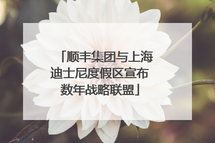 顺丰集团与上海迪士尼度假区宣布数年战略联盟