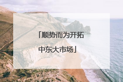 顺势而为开拓中东大市场