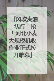 风吹麦浪一线行｜抢！河北小麦大规模机收作业正式拉开帷幕