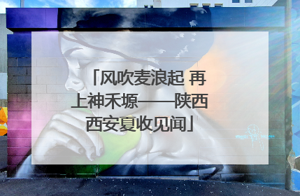 风吹麦浪起 再上神禾塬——陕西西安夏收见闻