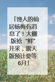 馋人的仙居杨梅有消息了！大棚版抢“鲜”开采，露天版预计要等6月