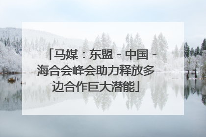 马媒：东盟－中国－海合会峰会助力释放多边合作巨大潜能