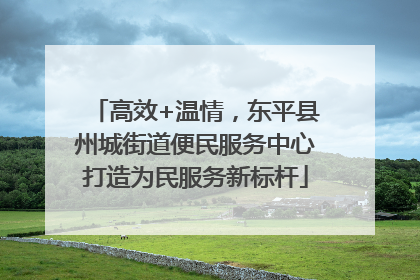 高效+温情，东平县州城街道便民服务中心打造为民服务新标杆