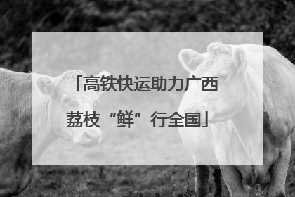 高铁快运助力广西荔枝“鲜”行全国