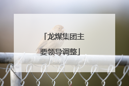 龙煤集团主要领导调整