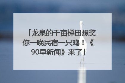 龙泉的千亩梯田想奖你一晚民宿一只鸡！《90早新闻》来了