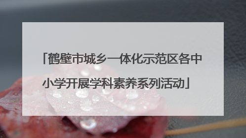 鹤壁市城乡一体化示范区各中小学开展学科素养系列活动