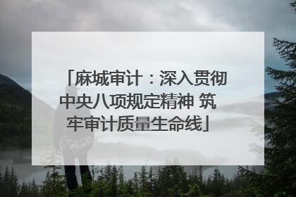 麻城审计：深入贯彻中央八项规定精神 筑牢审计质量生命线