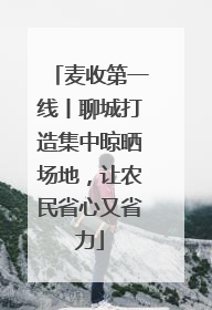 麦收第一线丨聊城打造集中晾晒场地，让农民省心又省力